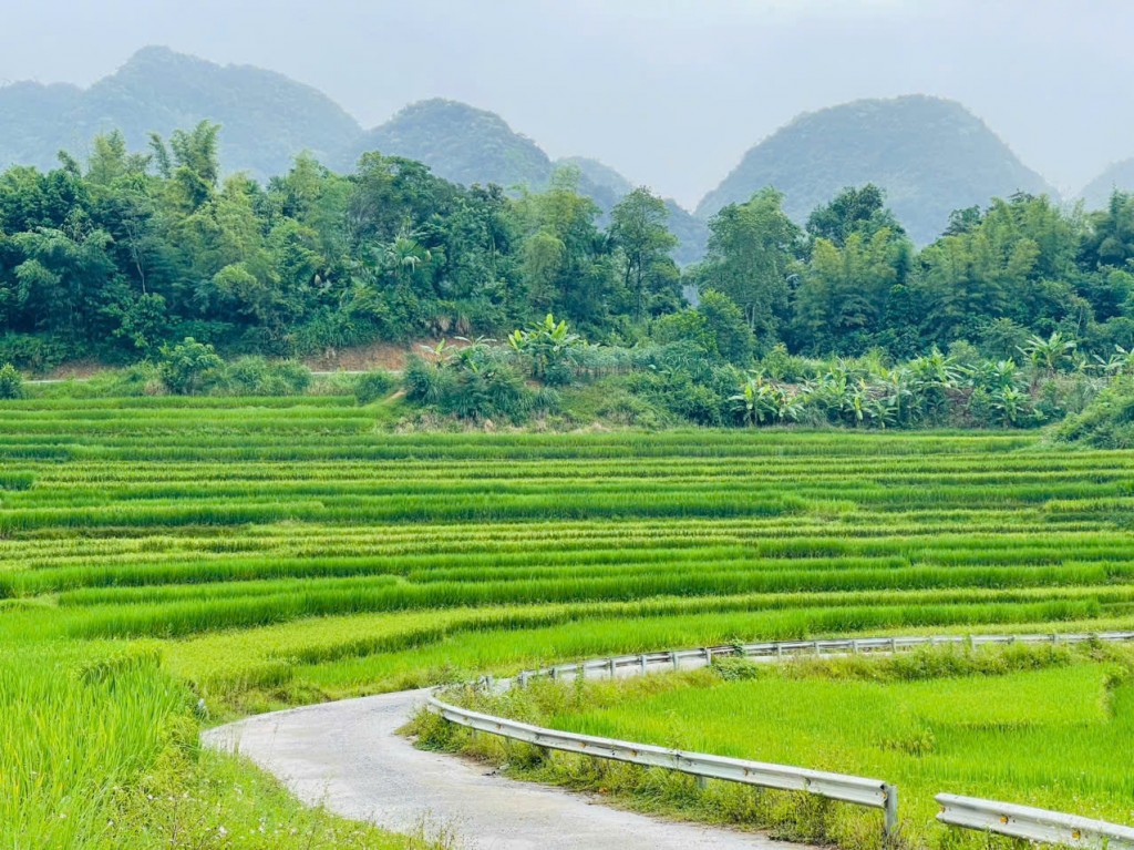CẢI CÁCH THỂ CHẾ, CHÍNH SÁCH QUẢN LÝ VÀ PHÁT TRIỂN DU LỊCH BỀN VỮNG Ở VIỆT NAM TRONG TÌNH HÌNH MỚI
