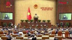 Thông qua Luật Tư pháp người chưa thành niên